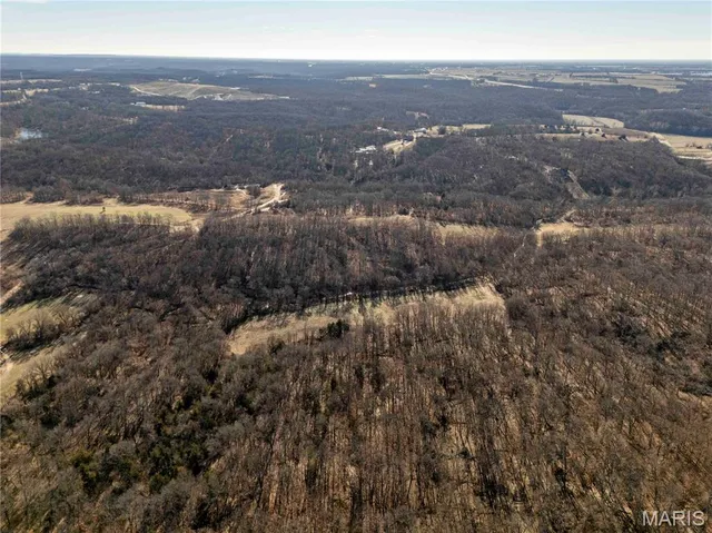 $1 | 0 County Road 132, Bowling Green, MO 63334