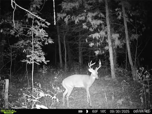 $1 | 0 County Road 132, Bowling Green, MO 63334