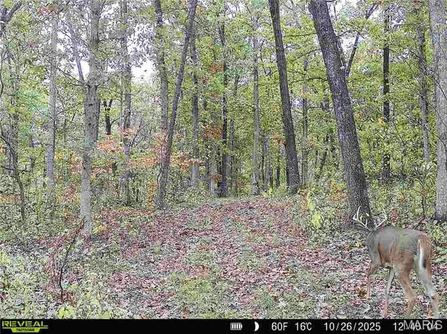 $1 | 0 County Road 132, Bowling Green, MO 63334