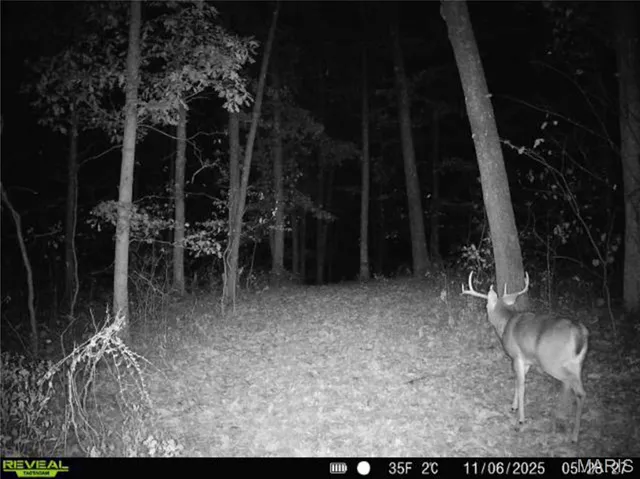 $1 | 0 County Road 132, Bowling Green, MO 63334