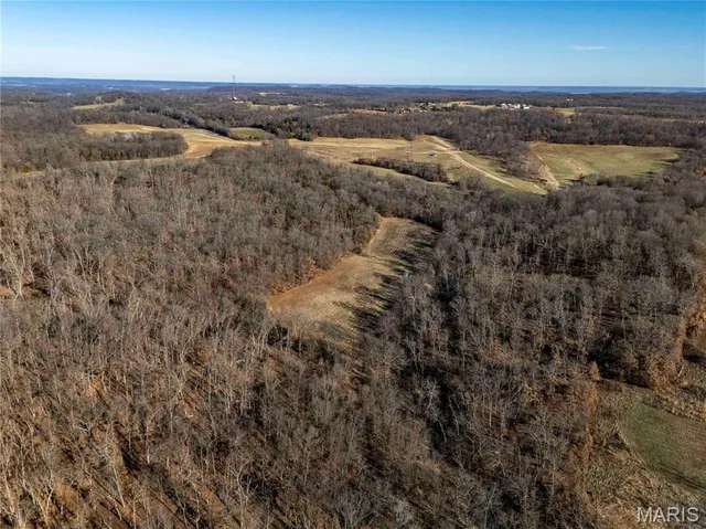 $1 | 0 County Road 132, Bowling Green, MO 63334