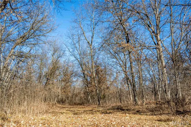 $1 | 0 County Road 132, Bowling Green, MO 63334