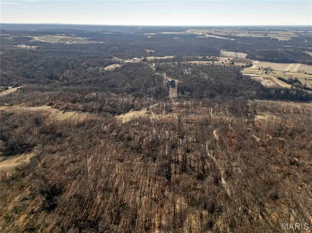 $1 | 0 County Road 132, Bowling Green, MO 63334