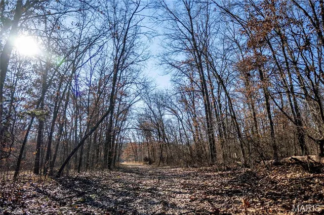 $1 | 0 County Road 132, Bowling Green, MO 63334