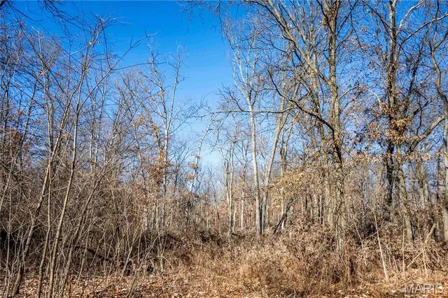 $1 | 0 County Road 132, Bowling Green, MO 63334