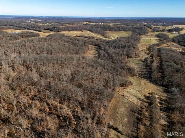 $1 | 0 County Road 132, Bowling Green, MO 63334