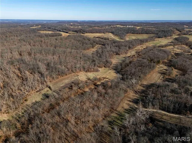 $1 | 0 County Road 132, Bowling Green, MO 63334