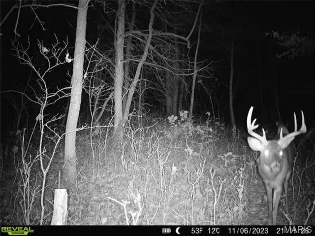 $1 | 0 County Road 132, Bowling Green, MO 63334