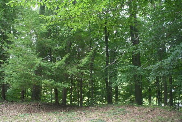3455 Possum Run Road Mansfield, OH 44903 - Photo 9 of 38 9