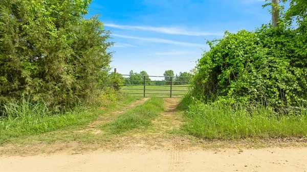 a view of a field with an ocean