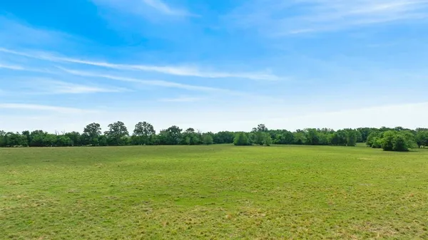 a view of a grassy field with trees in the background