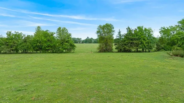 a view of a green field with a tree