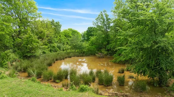 a view of a lake