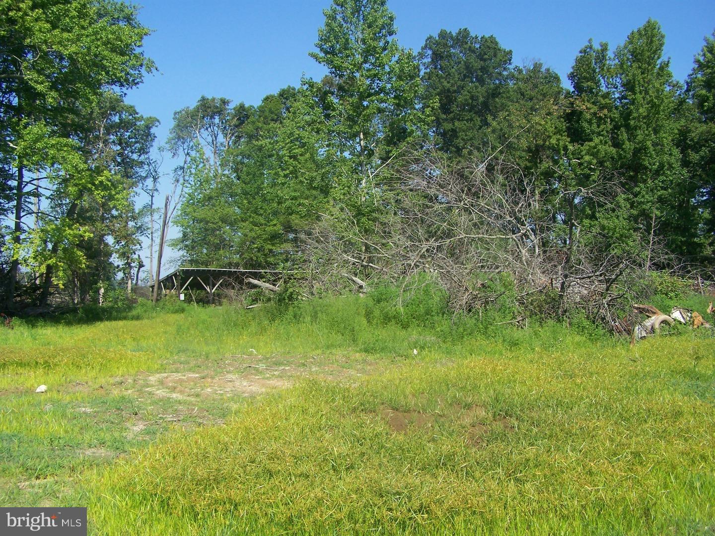 2199 Kitts Hummock Road Dover, DE 19901 - Photo 7 of 8 Gallery Image 7