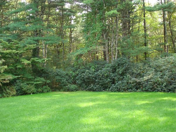 3 Royal Road Easton, MA 02375 - Photo 7 of 23 Gallery Image 7