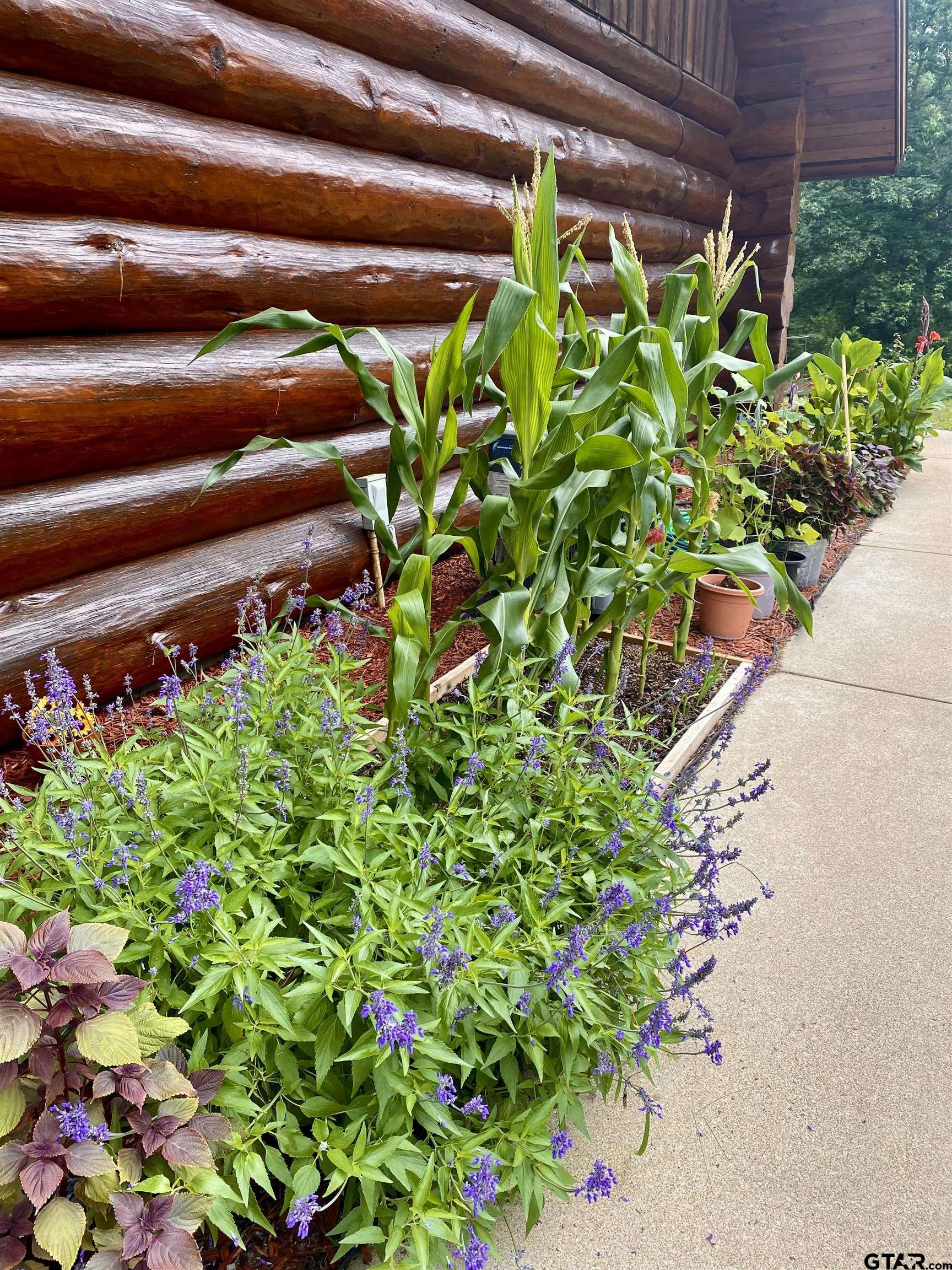 200 County Road 3282 Quitman, TX 75783 - Photo 5 of 48