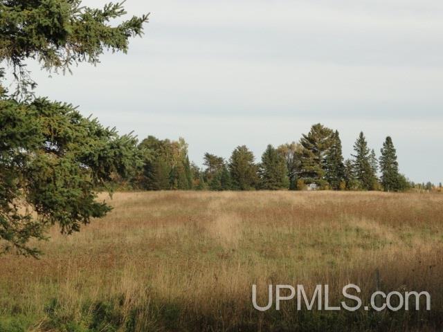 14966 2 Mile Road Bruce Crossing, MI 49912 - Photo 24 of 24