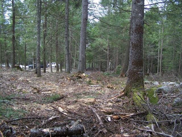 Lot 8 188th Route Burlington, ME 04417 - Photo 2 of 7 Photo