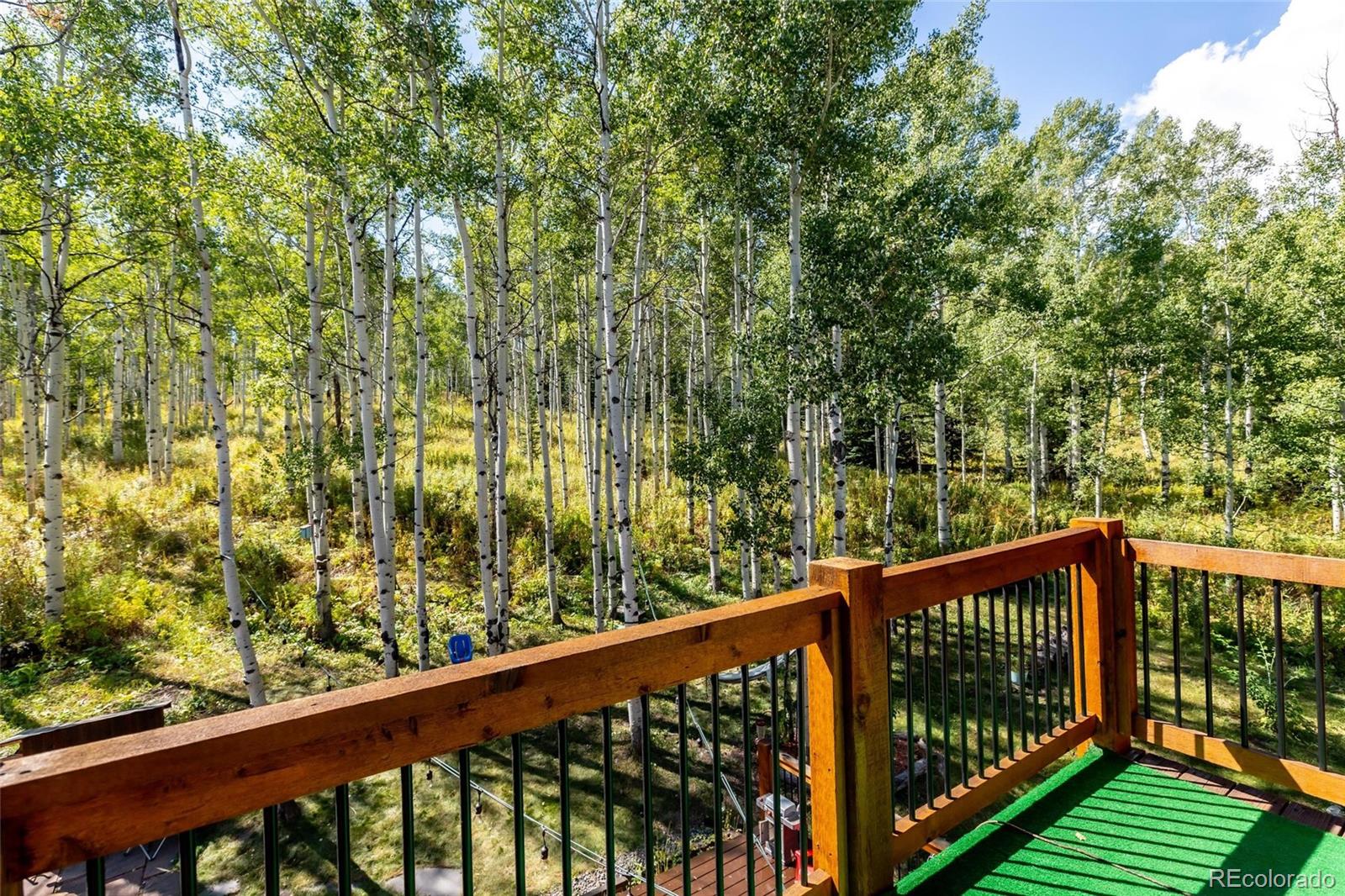 58165 Jupiter Place Clark, CO 80428 - Photo 21 of 34 a view of a balcony with wooden floor