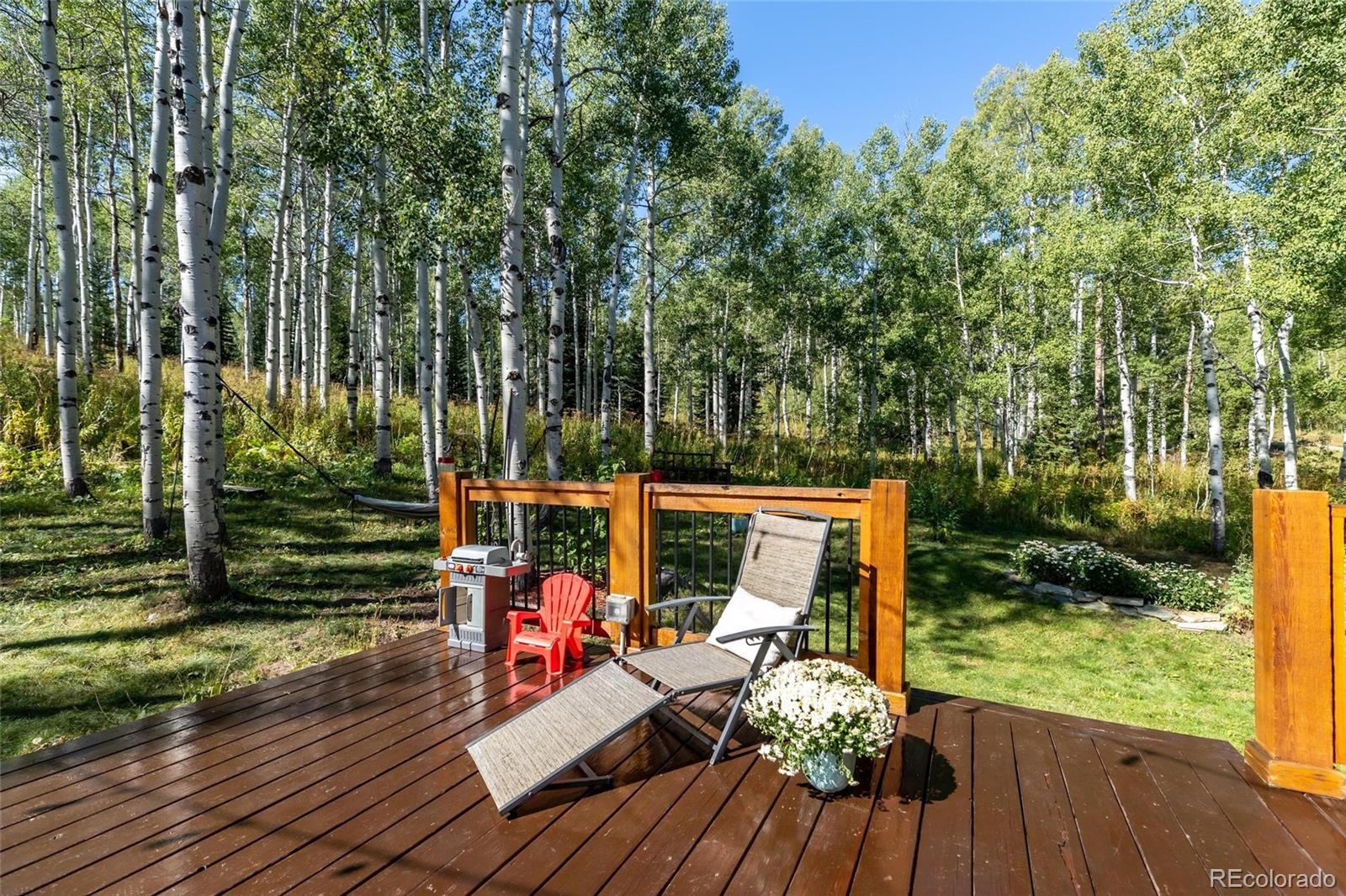 58165 Jupiter Place Clark, CO 80428 - Photo 30 of 34 a view of deck with patio