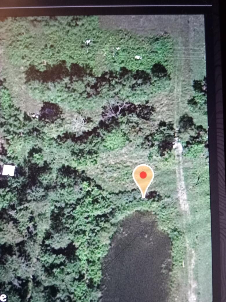 2450 Weber Road Gladwin, MI 48624 - Photo 14 of 33 Gallery Image 14