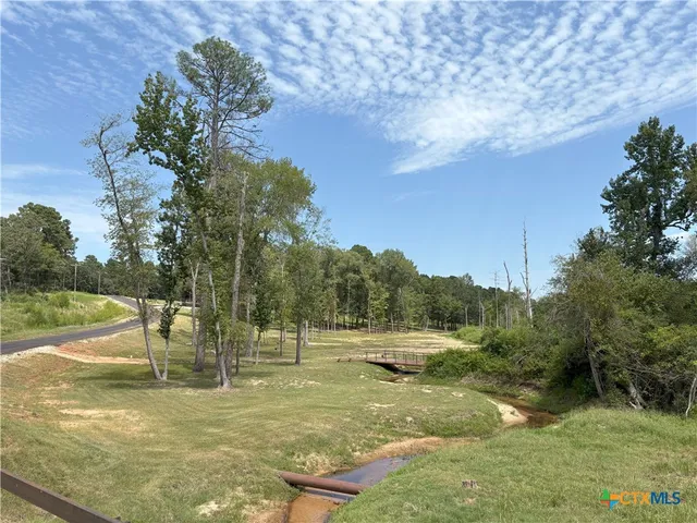 a view of a park with large trees