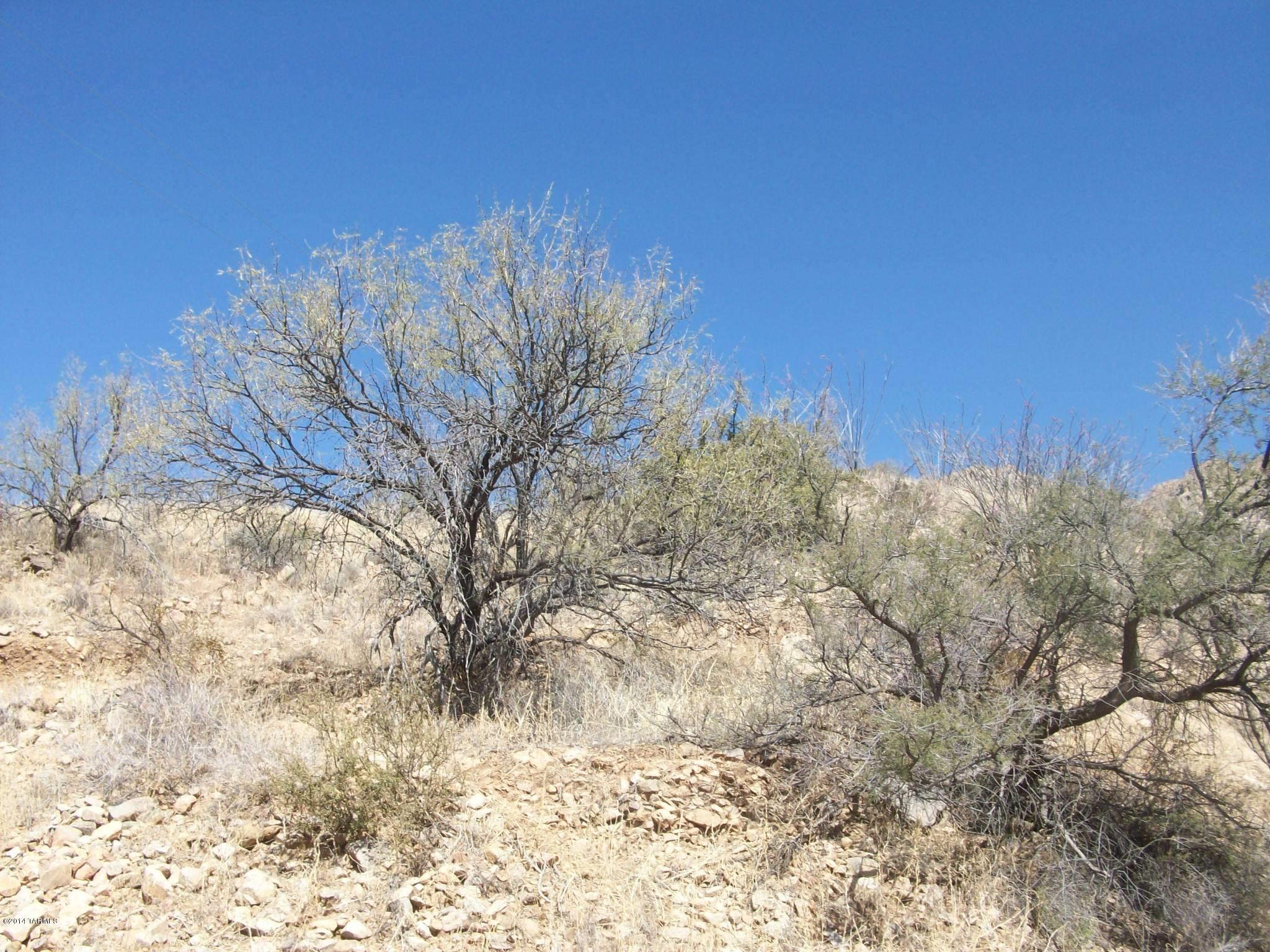1415 Vía San Cayetano Rio Rico, AZ 85648 - Photo 10 of 12