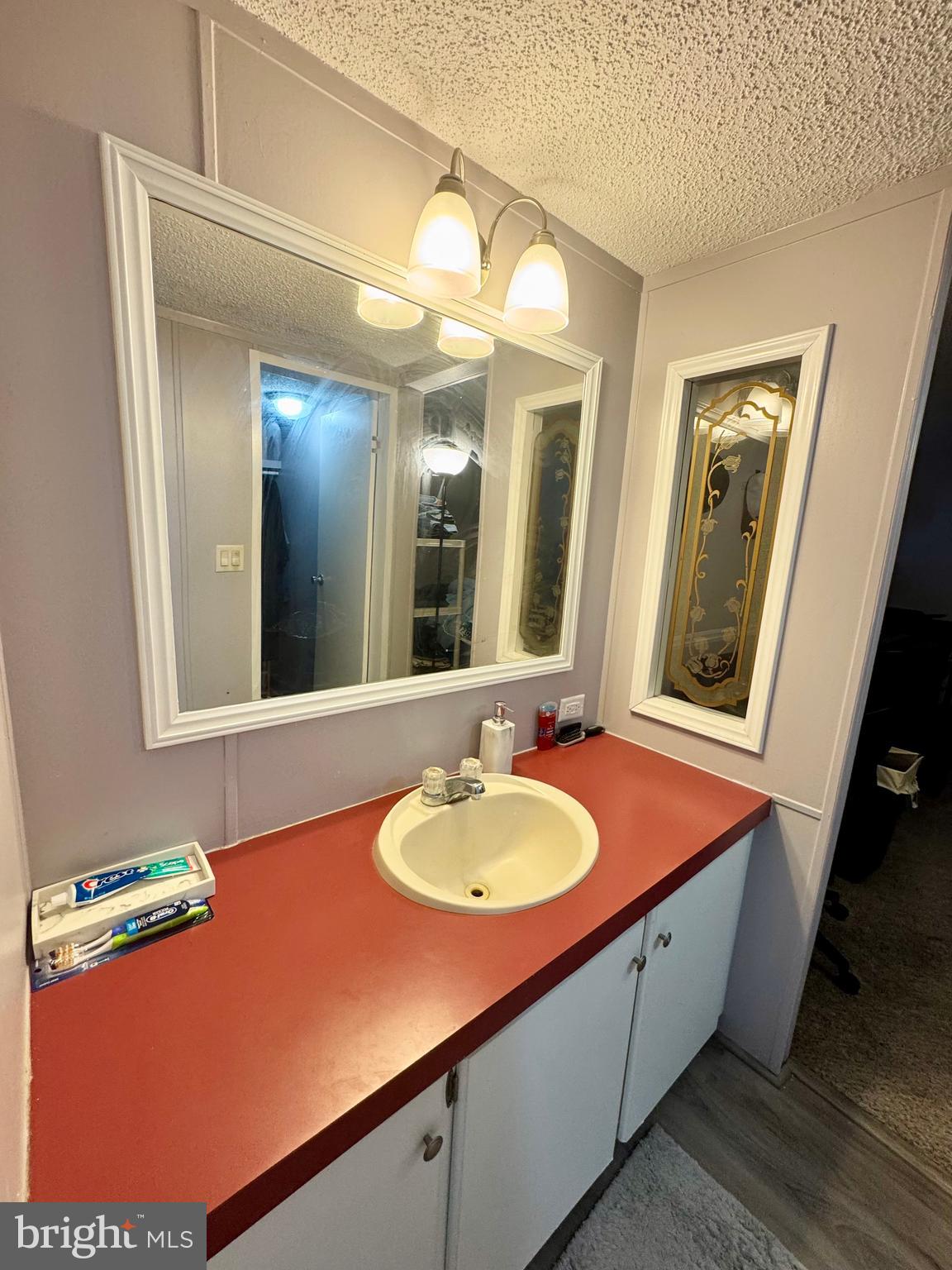 9333 Colonial Mill Drive Delmar, MD 21875 - Photo 18 of 31 a bathroom with a sink and a mirror