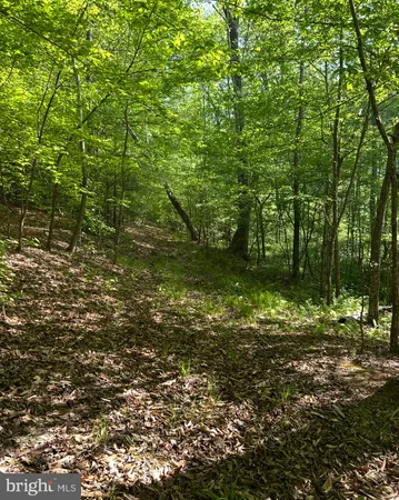 $26,900 | Lot 1 Wallace Street, Warsaw, VA 22572