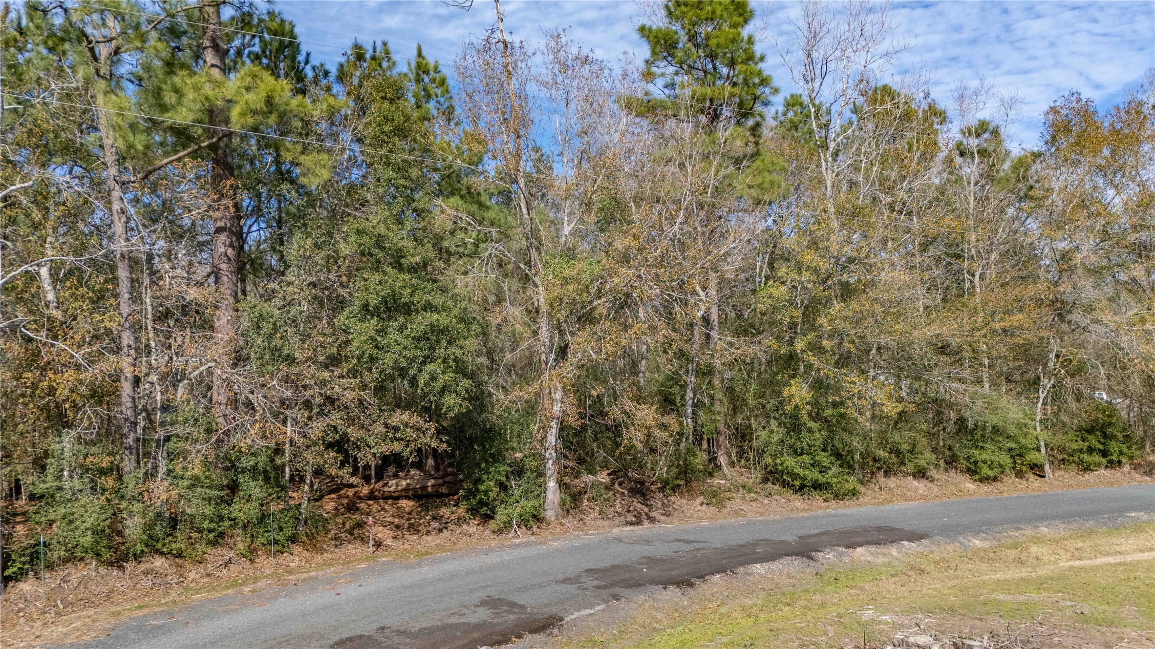 0 Christensen Road Hankamer, TX 77560 - Photo 2 of 2 a view of a yard with plants and trees