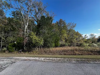 a view of a yard with a tree