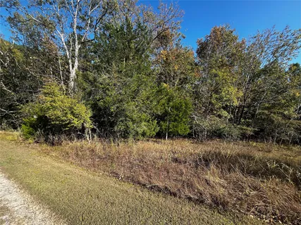 $22,000 | 165 North Pine Harbour Drive, Coldspring, TX 77331