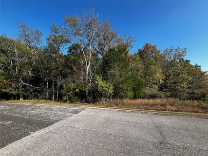 a view of outdoor space with trees