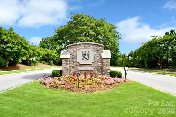 a view of a park with large trees