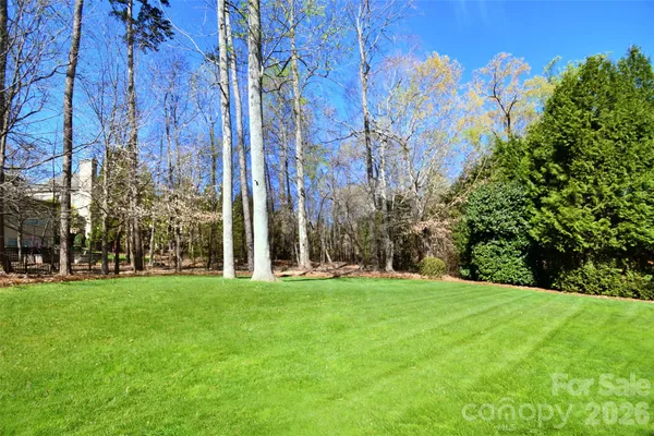 a view of a park with large trees