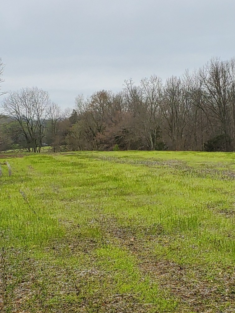 0 Jimmy Suttle Road Bethpage, TN 37022 - Photo 1 of 4 Gallery Image 1