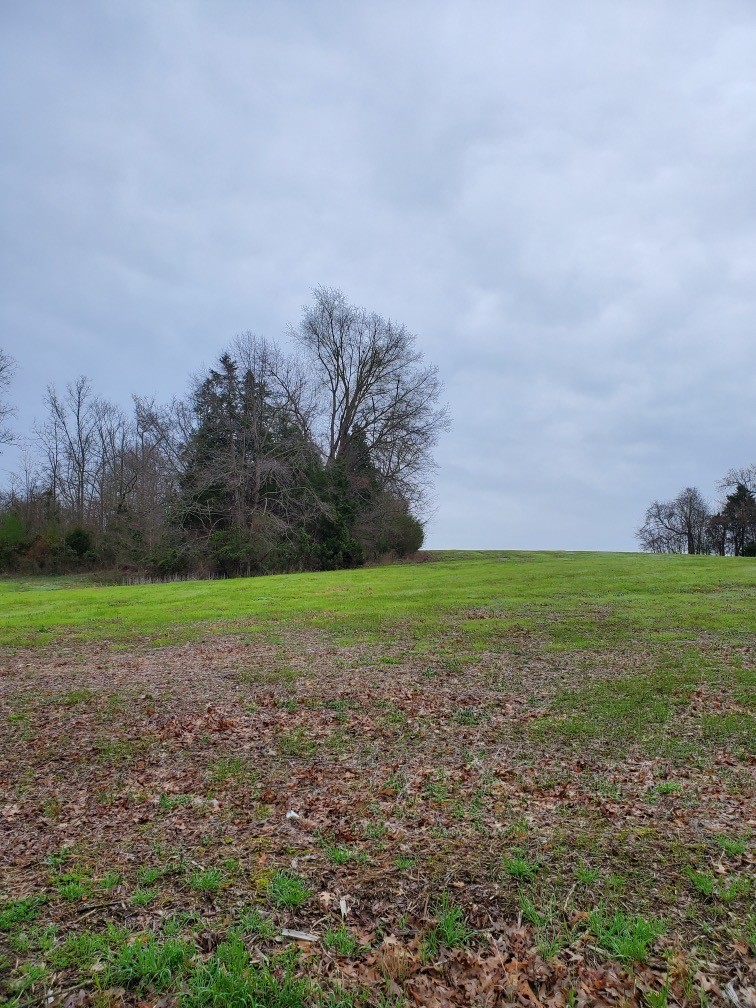 0 Jimmy Suttle Road Bethpage, TN 37022 - Photo 3 of 4 Gallery Image 3