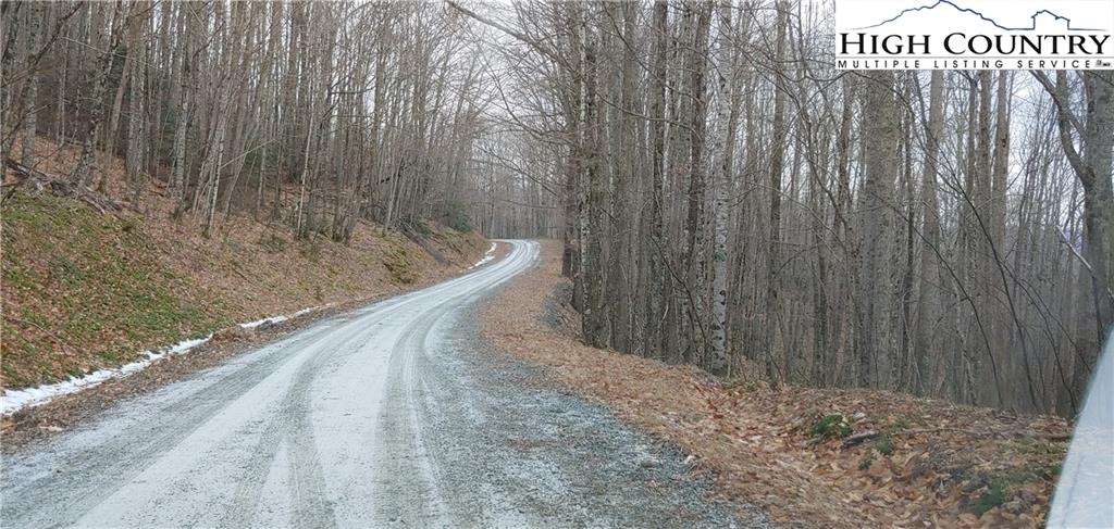 133 Raccoon Road Beech Mountain, NC 28604 - Photo 2 of 4 a view of a wooden floor
