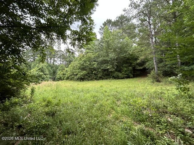 301 Freeman Road Southwest Summit, MS 39666 - Photo 26 of 43 IMG_4610