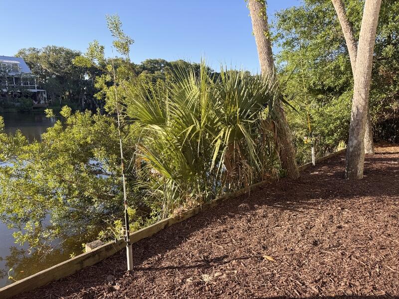 705 Sandpiper Ridge Edisto Island, SC 29438 - Photo 45 of 57 35b (800x600)