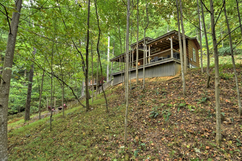 163 Chestnut Ridge Circle Blue Ridge, GA 30513 - Photo 10 of 36 Gallery Image 10