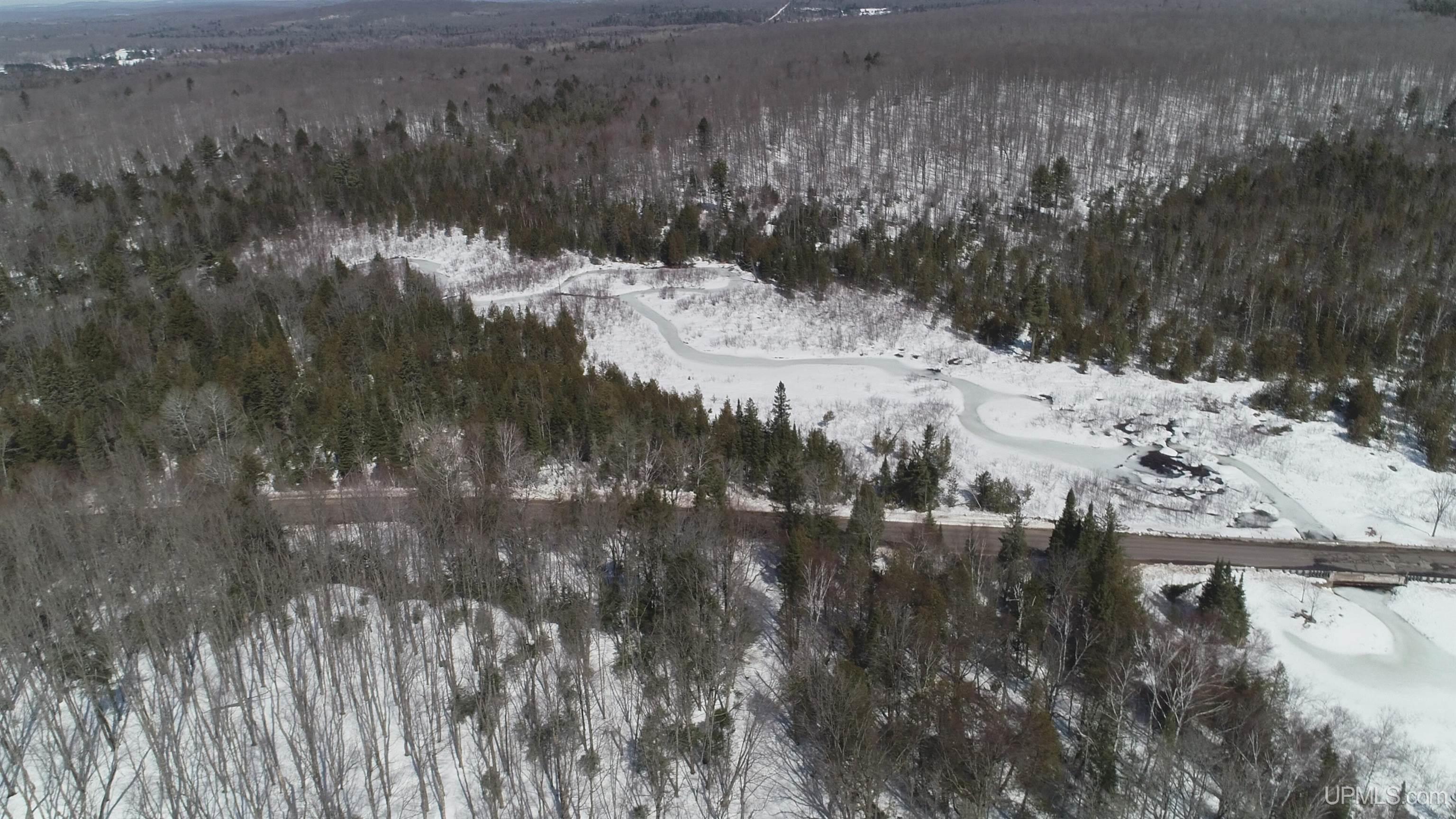 40-acres Little Lake Road Gwinn, MI 49841 - Photo 7 of 25