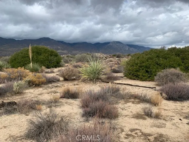 a view of a pathway with a yard