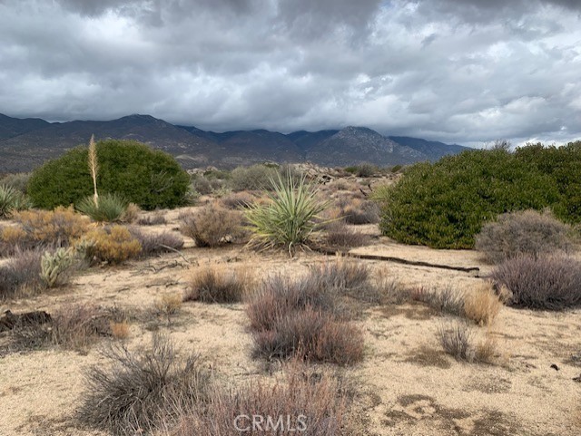 a view of a pathway with a yard