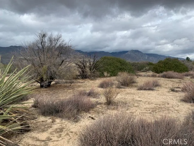 a view of a dry yard with wooden fence