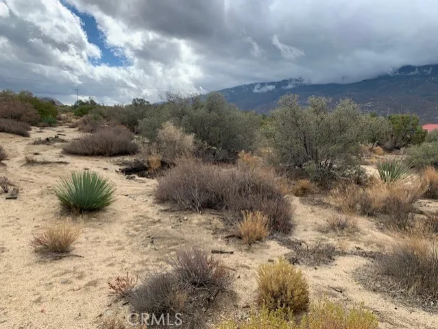 $22,500 | 241 Paradise Drive, Mountain Center, CA 92561