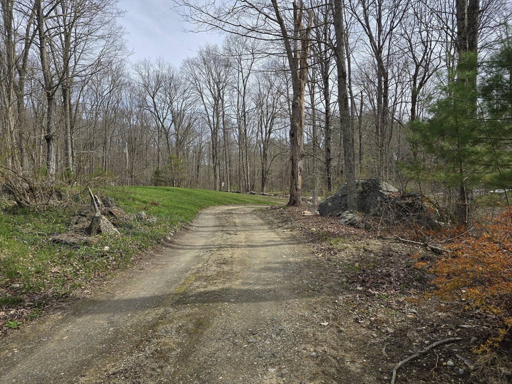 969 Brook Road Hardwick, MA 01037 - Photo 7 of 36 a view of a yard with trees in front of it