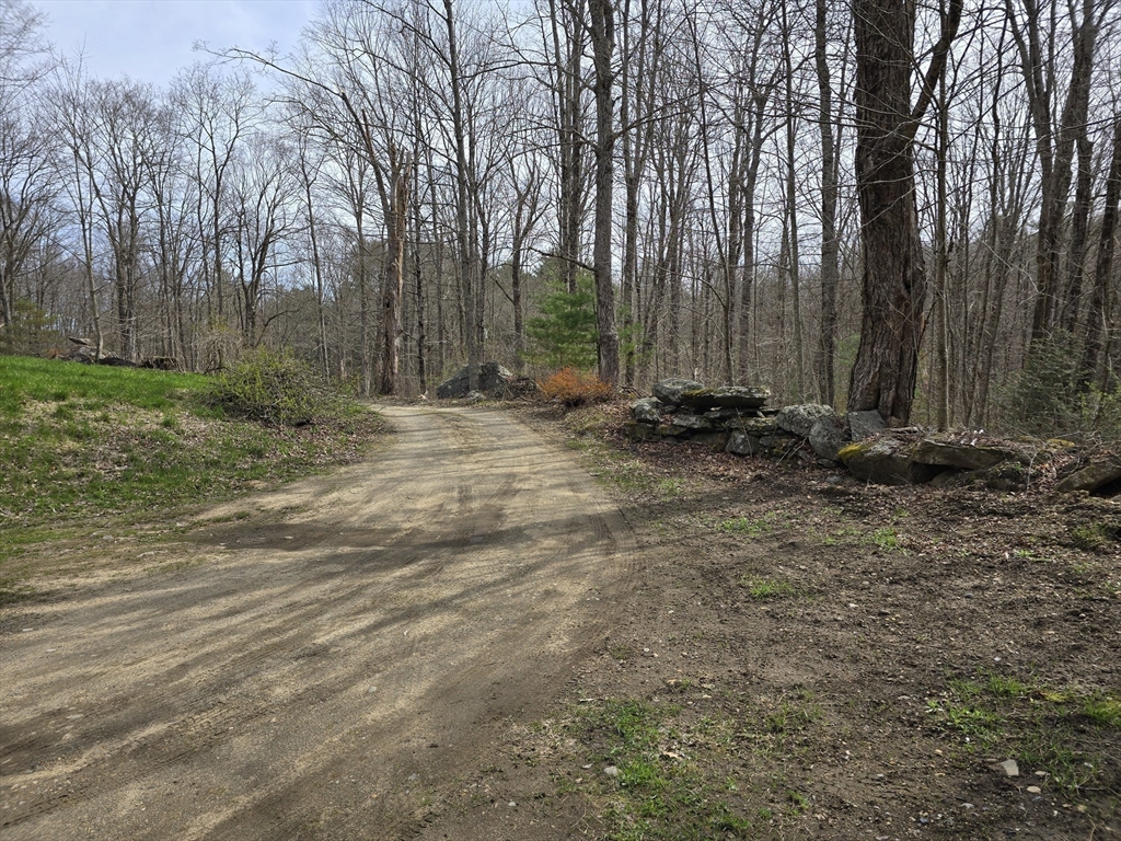 969 Brook Road Hardwick, MA 01037 - Photo 8 of 36 a view of a backyard with large trees