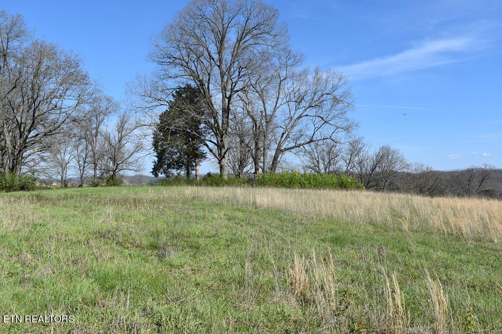 Lot 16 Temple Road Seymour, TN 37865 - Photo 1 of 3 Image 9-28-23 at 12.18 PM