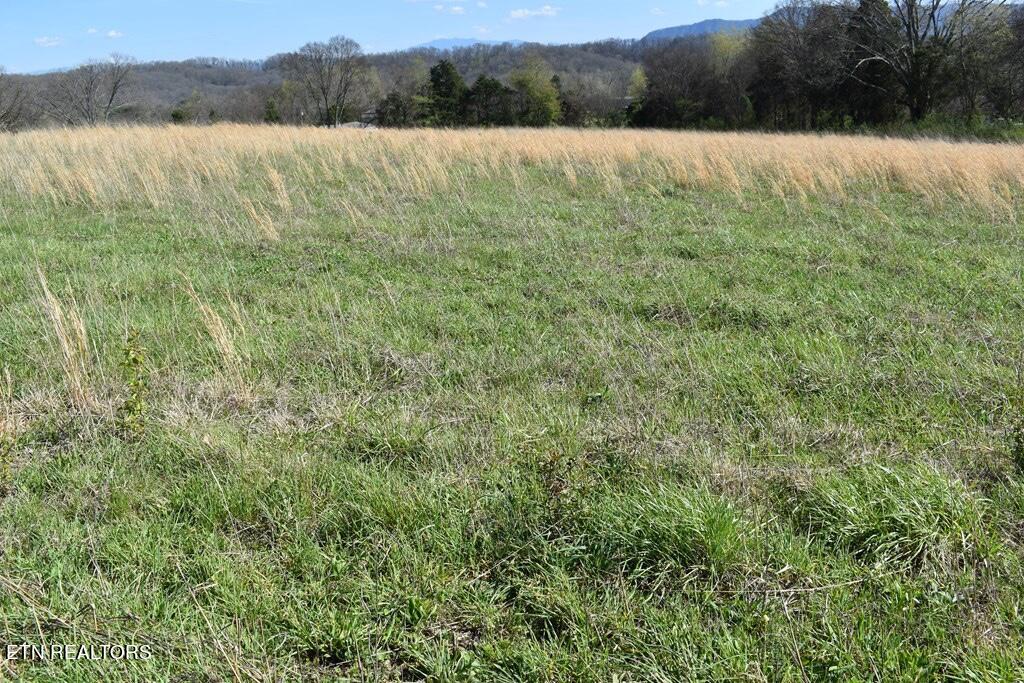 Lot 16 Temple Road Seymour, TN 37865 - Photo 2 of 3 Image 9-28-23 at 12.18 PM (1)